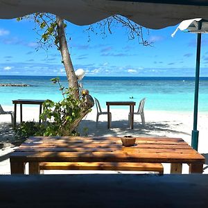 Bougainvillea Inn - Maldives Fulidhoo Exterior photo